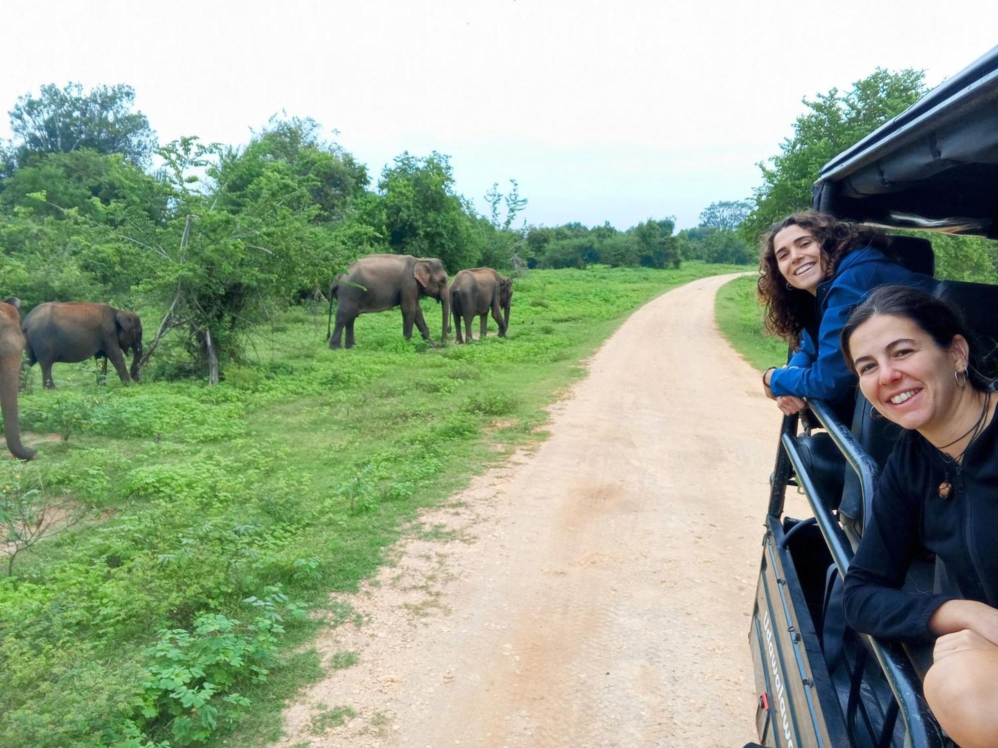 Elite Safari Resort ウダワラウェ エクステリア 写真