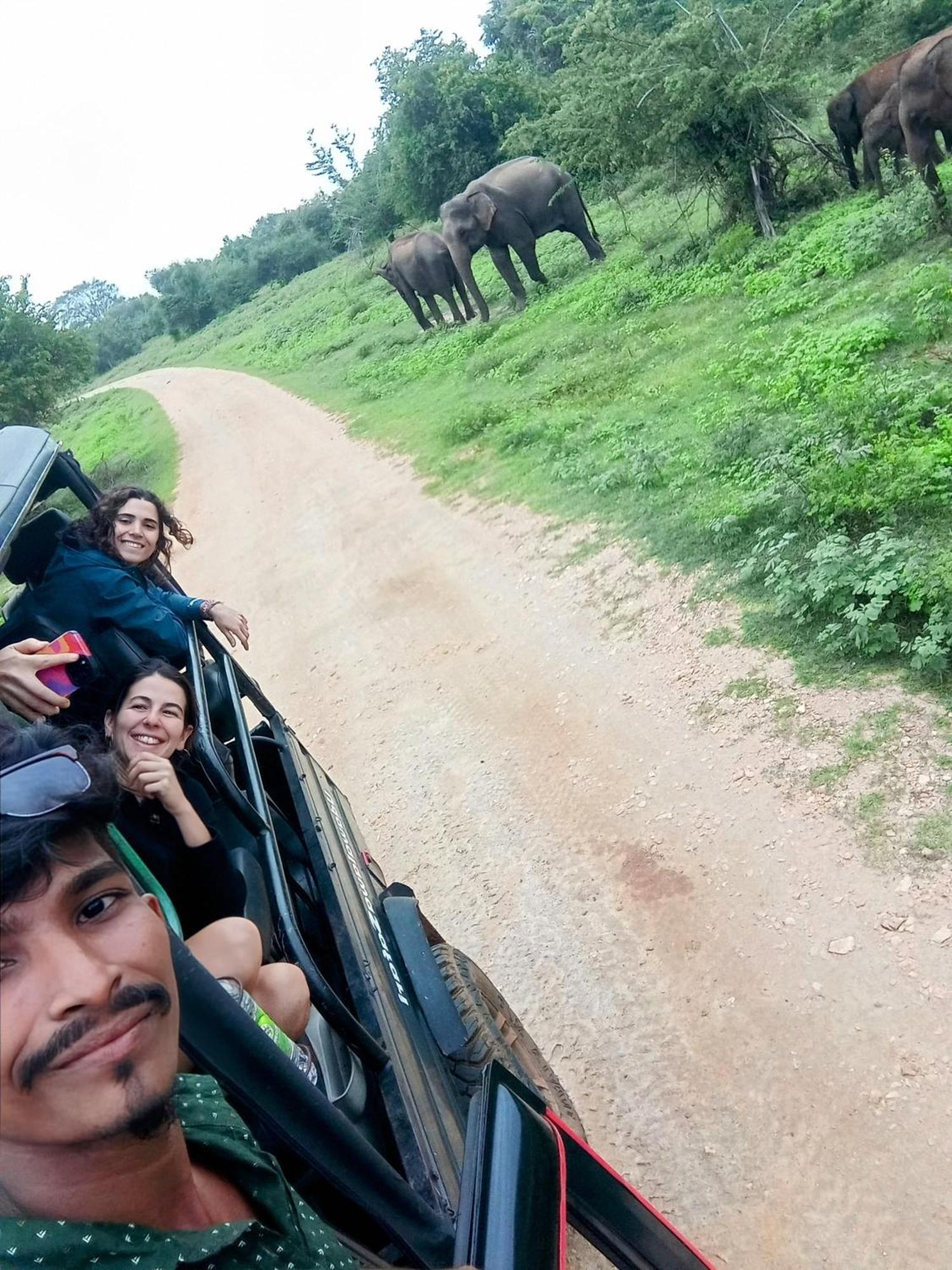 Elite Safari Resort ウダワラウェ エクステリア 写真