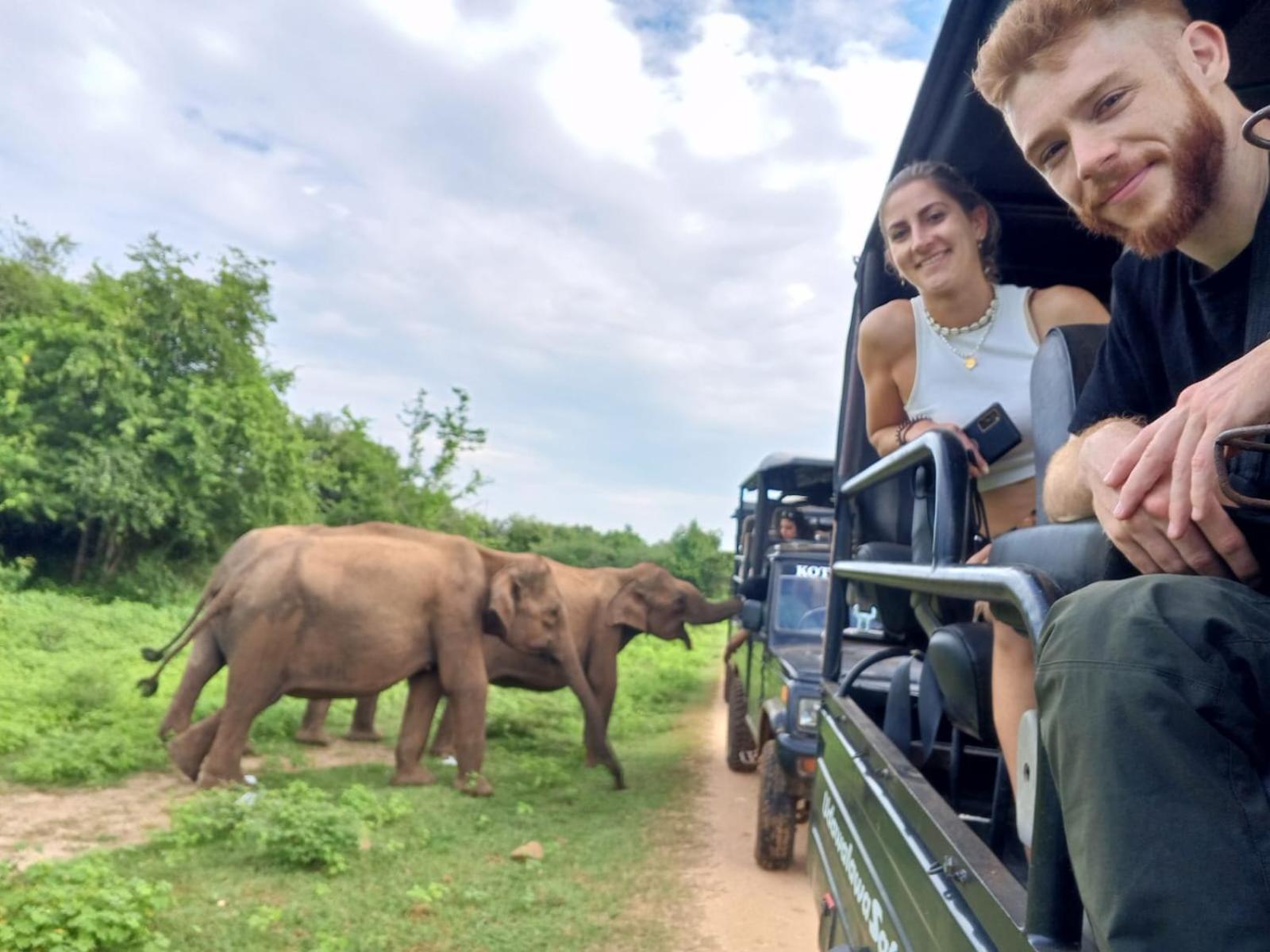 Elite Safari Resort ウダワラウェ エクステリア 写真